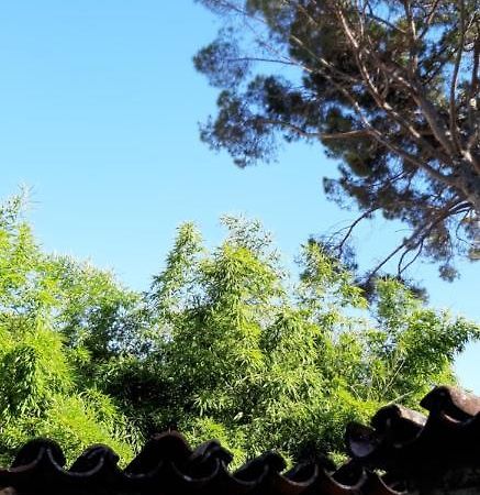 Bamboo Apartman Portoroz Exterior foto